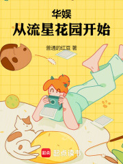 華娛從流星花園開始