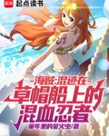 海賊：混跡在草帽船上的混血忍者