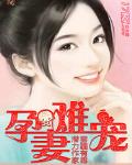 孕妻難寵