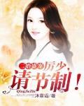 二婚盛寵，厲少請節製