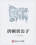 唐朝貴公子