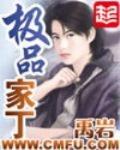 極品家丁